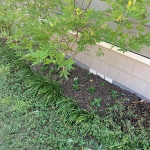 Meet your Posher, Cali